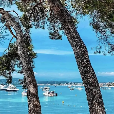 公寓 Beautiful Design Next To The Sea 昂蒂布